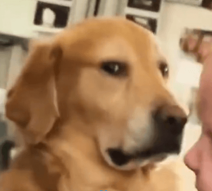 Uma mulher e um homem jovens sendo filmados por um celular